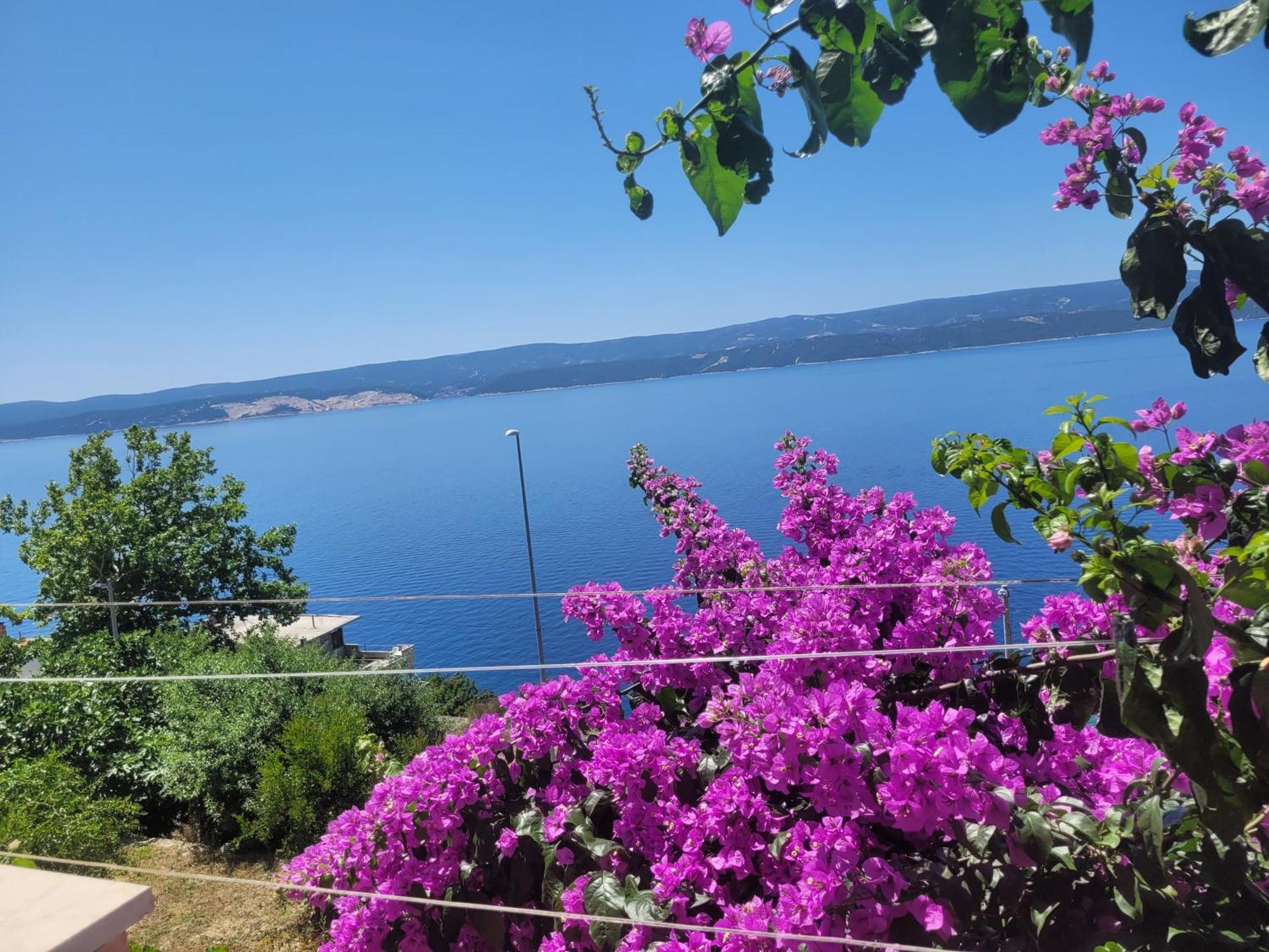 Apartments Coko Omiš Szoba fotó